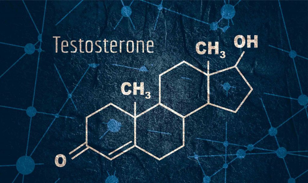 hormonen testosteron molecuul